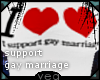 -V Gay Marriage .f