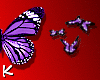 K✝Butterflies-Purple