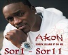 Akon Sorry blame it on m