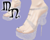 ~MN~IceQueen Shoes