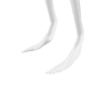 Calf Scaler %40