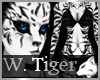 White Tiger Fur F