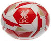 LFC Animated Soccer Ball