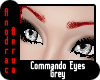 [AA] Commando Eyes Grey