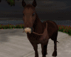 Running Horse Brown