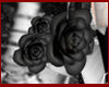 black roses cintura