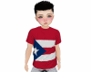 Puerto Rico Flag t-Shirt