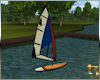 TTC S Camp Sailboard
