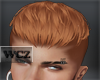 WCZ | Swayer Ginger