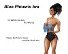 Blue Phoenix bra