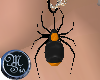 (MSis)Black Spider