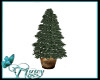 WC Mini Christmas Tree