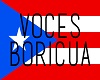 voces puerto rico