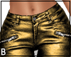 Gold Zipper Pants