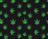 DOOBIE F