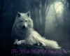 The White Wolf Of Sangre