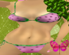 ~A~Watermelon Bikini