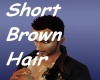 TBA-Short Brown Hair