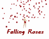 Falling Roses