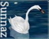 (S1)Animated Swan
