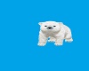 My Polar Bear Cub