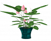 Pink Plant 3