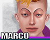 MARCO | Head