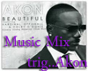 Akon BeAutiful Music MIx