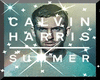 Calvin Harris Summer D+S