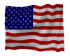 {M}American Flag