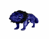 Blue Black Wolf