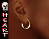 SHINE Earrings Gold V1