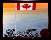 *ST* Canada Flagpole...