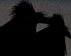 Black Crows Red Eyes ani