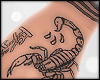 ! Hypno INK XL Nails