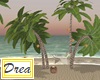 Beach Hammock