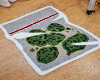 420 Rug