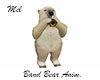 Band Bear Anim.