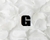 G - White Petals