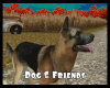 *Dog & friends