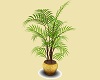 Plant in Gold Pot