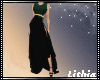 L| Custome Green Gown