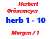 Grönemeyer/ Morgen