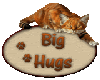 Cat hugs sticker