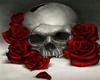 Skull N Roses Bed Lounge