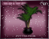 B*Kit Kat VIP Palm Tree