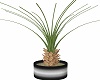Steel Potted PineApple