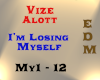 VIZE - I'm Losing Myself