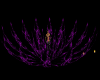 purple flower strobe