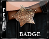 [P]Cowboy Pelvis Badge